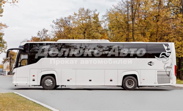 Автобус Scania 51 место